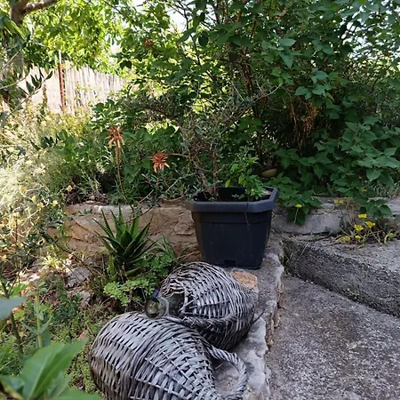 Lägenhet Lea Brodarica (Sibenik-Knin)