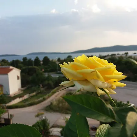 Lea ברודאריצה