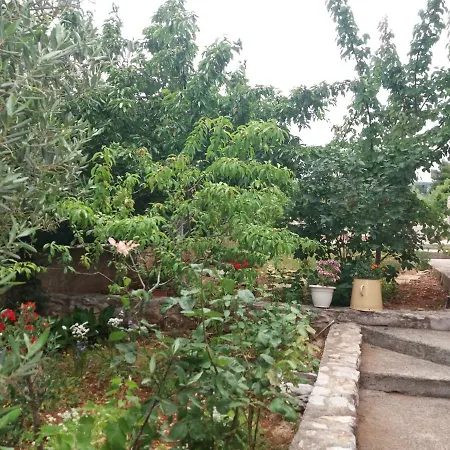 Lea * ברודאריצה