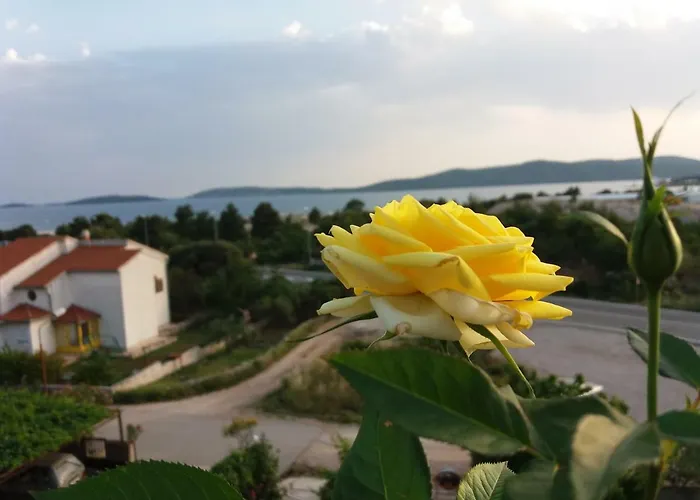 Lea Brodarica (Sibenik-Knin)